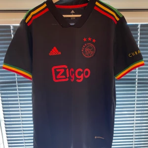 Ajax fotbollströja  - Säljer en Ajax tröja. Storlek L. Nyskick.