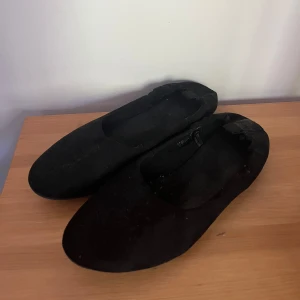 ballerina 37 dinsko - Använda några gånger🖤