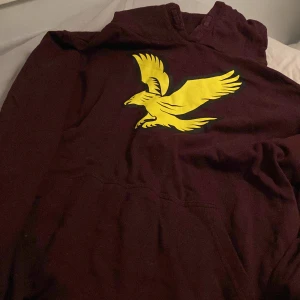 Röd tröja  - Vinröd tröja 