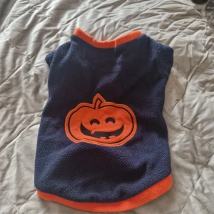 Hundkläder  - Snygg halloween tröja, passar mindre hund exempelvis pomeranian 
