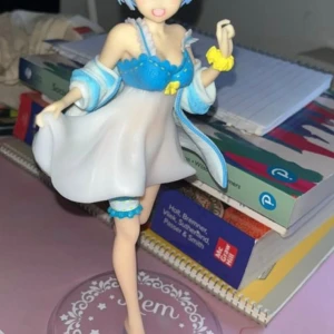 Rem - Tyvärr finns inte låda med men kommer packa den väl 😊 