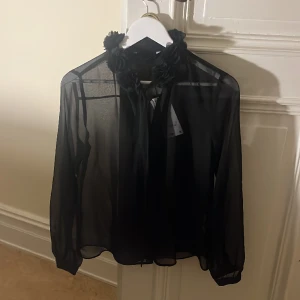 Tunika/blus - Fin blus från Zara med transparent matrial. Festlig men fungerar öven till vardags. Den är aldrig använd och prislappen finns fortfarandr kvar. Orginalpris 379kr