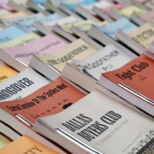 Har du en idé till långfilm/tv eller ett färdigt manus? - Hej!  Jag säljer ett sammansatt kompendium med info om manusprogrammet FINAL DRAFT, hur skriver man synopsis, treatment och gör aktindelningar? Samt en lång lista med hur du får kontakt/namn till produktionsbolag och TV.  Och mycket mer!