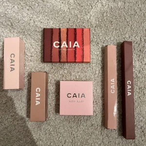 CAIA - Helt oanvända och kvar i förpackning. BARA ögonskuggspalett - Heat wave och läppstift - Chick kvar💖💖💖
