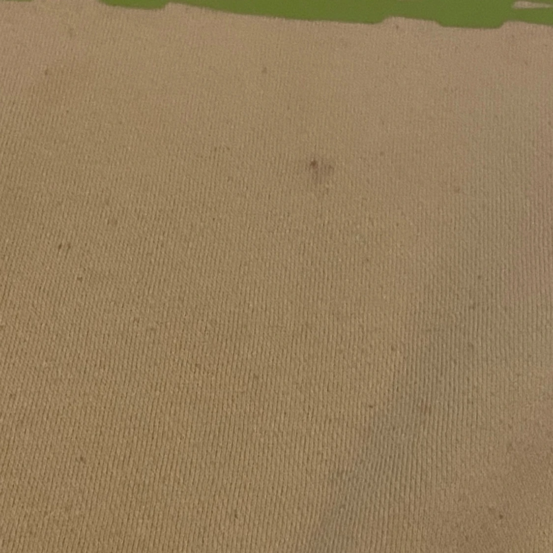 Grön Billie eilish tröja  - 91