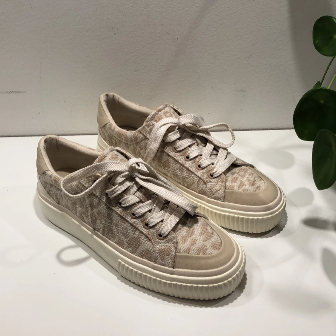 Beiga sneakers leopard print