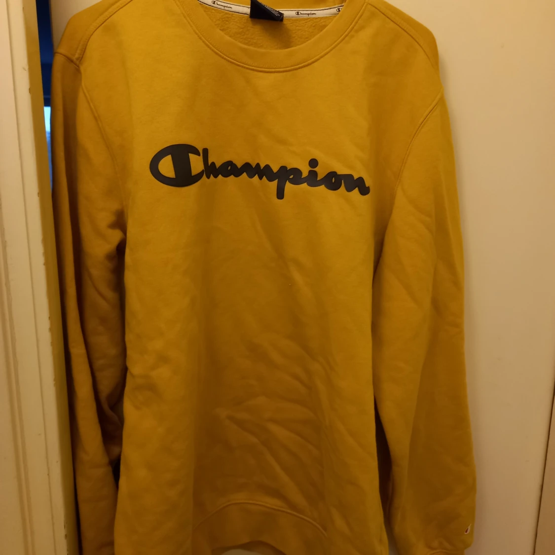 Lejongul championtröja 