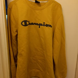 Lejongul championtröja  - Bra skick 