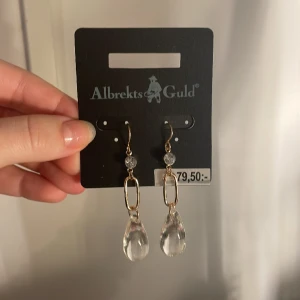 Örhängen - Helt nya örhången från albrekts guld. Fick nu i julklapp men säljer då de inte riktigt är min stil❣️