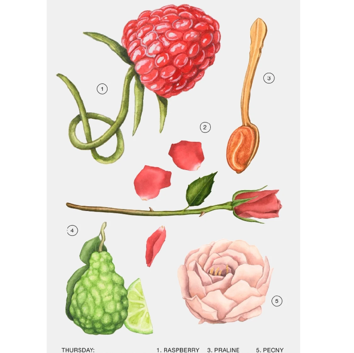 Zara parfym - No Valentines but flowers  - 91