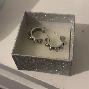 Örhängen med nitar Edblad  - Örhängen med nitar från Edblad, plupparna till de är tyvärr borta och har sanerat dom så väldigt fräscha och bra skick 