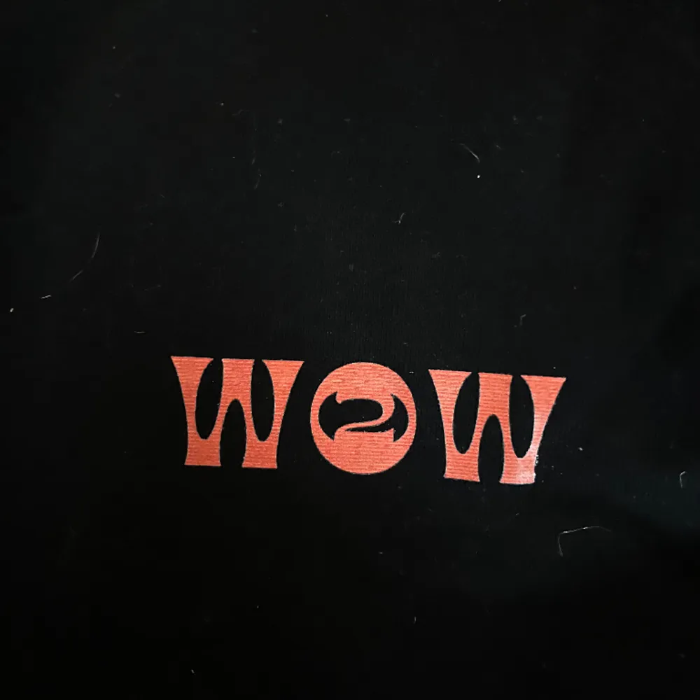 Ant Wan WOW 2 hoodie officiell merch i bra skick.   . Hoodies.