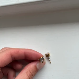 Caroline svedbom örhängen - Örhängen från Caroline svedbom. Guldiga med lila/rosa sten. Använda fåtal gånger