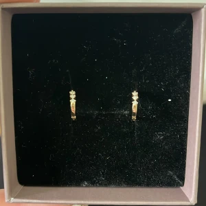 örhängen - små ringar med stenar