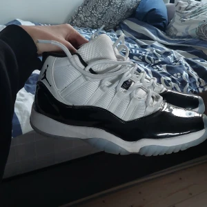 Jordan 11 - Jordan 11 concords I storlek 45, nästan aldrig använda pågrund av att dom är för små.