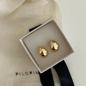 HOOPS - Dessa fina örhängen från pilgrim!! Nästan aldrig använda då ja e känslig. Köpta för 400kr säljer för 190 pris kan diskuteras. Köparen står för frakt🩷postar samma dag som det säljs innan 21
