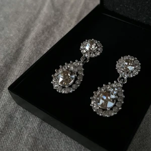 Lily & Rose örhängen  - Superfina silverörhängen från Lily & Rose !! Använda men i mycket bra skick.  Tveka inte att skriva vid frågor 🫶