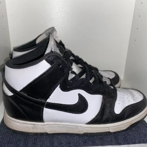 Dunk High - Använd mycket men det går att göra rent det mesta