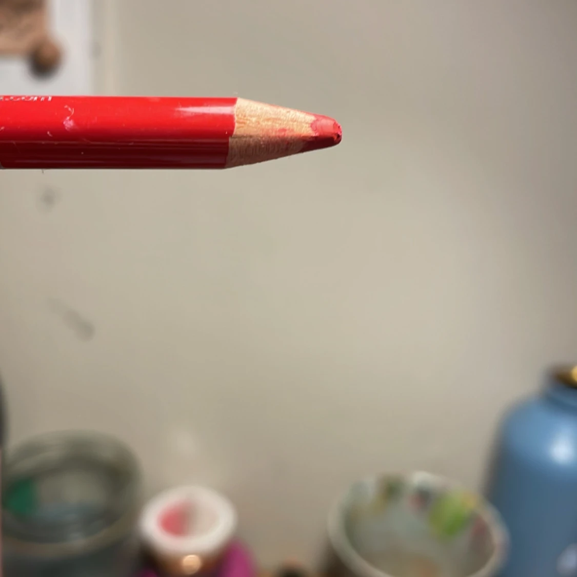 Sophora läppglans  - 91