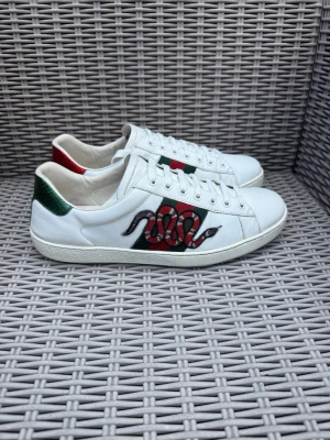 Gucci Ace Snake - Gucci Ace Snake || Storlek EU 43 UK 9|| Skorna är i mycket bra skick (se bilder) || Tveka inte på att höra av dig vid frågor eller funderingar 