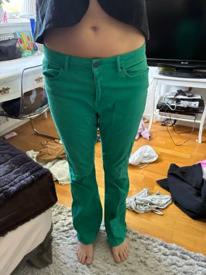 Gröna bootcut jeans  - Snygga gröna jeans med rak passform och klassisk femficksdesign. Jeansen har normal midja, bälteshällor och stängs med knapp och dragkedja. Perfekta för dig som vill sticka ut med färg i vardagen. Materialet känns mjukt och bekvämt.