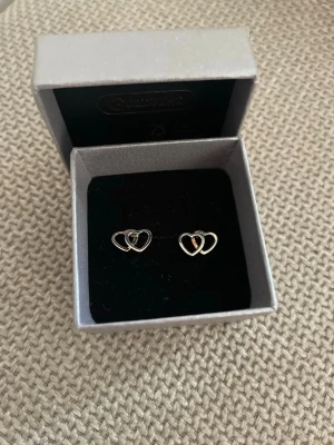 Guld/silvriga örhängen med dubbla hjärtan - Snygga örhängen i guld/silvrig ton med två sammanlänkade hjärtan. Stilren och söt design som passar perfekt för dig som gillar enkla men fina accessoarer. 