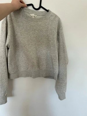 Grå croppad hoodie i bomull - En stilren ljusgrå croppad hoodie med rund hals och långa ärmar. Tillverkad i mjuk bomull. Enkel design utan tryck eller dragkedja.