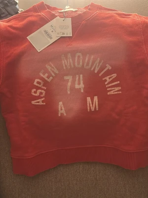 Röd sweatshirt från Zara Aspen Mountain  - Cool röd sweatshirt från Zara med tryck 'Aspen Mountain 74 AM' framtill och 'Aspen Mountain 1974 Rugby USA Western Colorado' på ryggen. Tröjan har ribbade muddar och är gjord i mjukt bomullsmaterial. Perfekt för en avslappnad streetwear-look. Lapp finns kvar, aldrig använd
