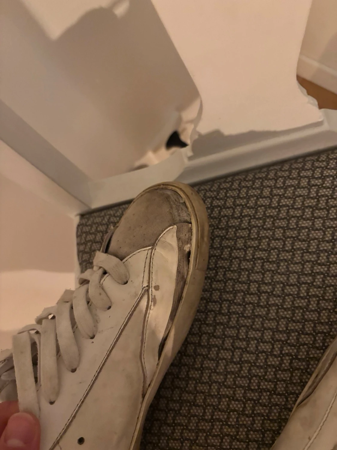 Vita Philippe Model sneakers - 3