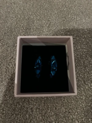Edblad örhängen  - Säljer ett par blåa nitörhängen från Edblad. Aldrig använda! Pris kan diskuteras💕