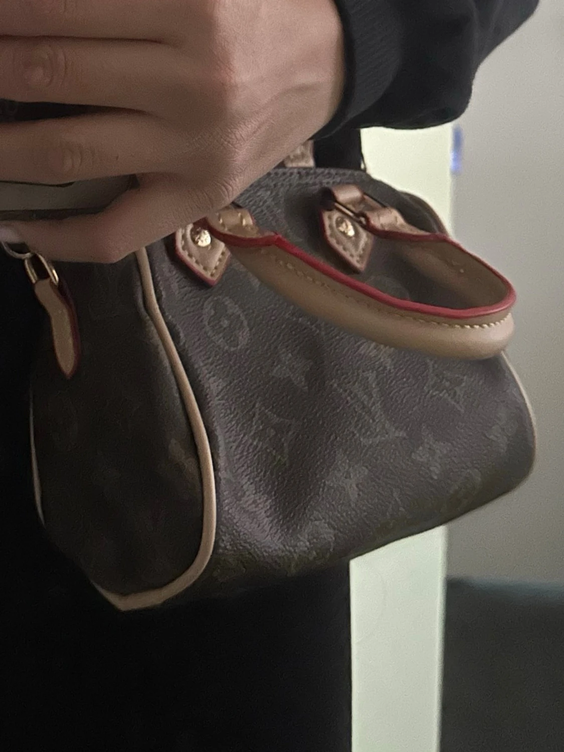 Monogram Mini Speedy