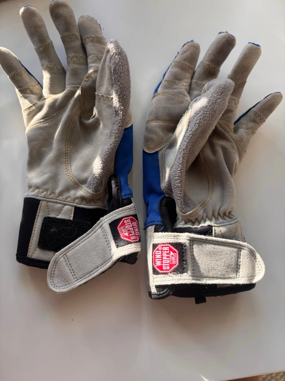 Blå Team Sweden handskar Windstopper - 1