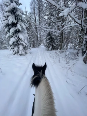 SÖKER  - Söker en Barbackapadd i storlek full💗