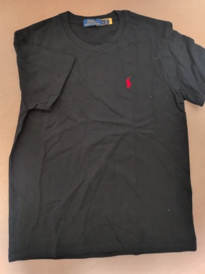 Ralph Lauren t-shirt - Selling Ralph Lauren T Shirt in size M It has a hole on inside of the shirt.
