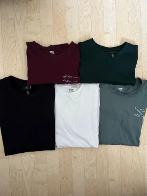 Fem t-shirts i olika färger - Fem stilrena t-shirts i färgerna vinröd, mörkgrön, svart, vit och grågrön. Några har diskret textbrodyr på bröstet. Klassisk passform och rund halsringning, perfekta till jeans eller shorts.
