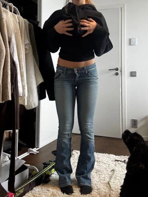 Jeans  - Säljer dessa super coola Hudson jeans, passar 34 eller en liten 36. Storlek 27. Lite sönder på ett ställe (se bild) 