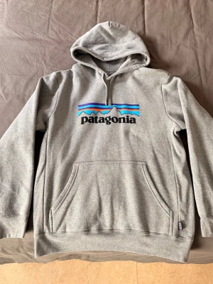 Grå hoodie från Patagonia - Snygg grå hoodie från Patagonia med klassisk logga och färgglada detaljer på bröstet. Hoodien har stor känguruficka framtill och justerbar huva. Tillverkad i 95% återvunnen polyester och 5% bomull, vilket gör den både mjuk och hållbar. Perfekt för chill dagar. Medium för killar och Large för kvinnor