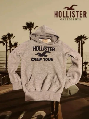 Hollister hoodie vintage - Slimfit i passform! Det står XXL i etiketten men den är som en M kolla och jämför med måtten! Superfin vintage tröja i bra skick! Skriv till mig vid eventuella frågor jag svarar snabbt!