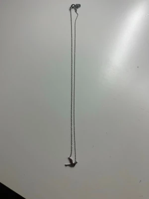 Fågel Edblad halsbanf - Säljer detta så fina silver halsbandet från Edblad med en duva. Använt väldigt sparsamt pga felköp. 