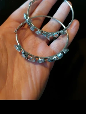 Örhängen storaringar  - Örhängen använda en gång på ett bröllop  Djur finns I hemmet  Rökfritt