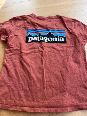 Röd Patagonia t-shirt med logga - Snygg  roströd  t-shirt från Patagonia med stor logga och bergmotiv i blått, svart och vitt på ryggen samt liten logga framtill. Klassisk rund hals och korta ärmar. Tillverkad i mjuk bomull för skön känsla hela dagen.