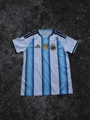 Argentina 2026 - Adidas  - Snygg Argentina fotbollströja från Adidas med klassiska blå och vita ränder, guldiga detaljer och AFA-emblem på bröstet. Tröjan har korta ärmar, svarta axelränder och är tillverkad i lätt funktionsmaterial. Perfekt för fotbollsträning eller match. Helt ny med prislappar