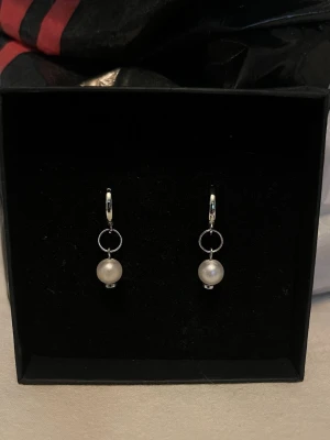 Silverörhängen - Ett par silverörhängen som även finns att köpa enskilt så kolla mina andra annonser! Det är rostfritt stål.