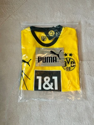 Ny gul Borussia Dortmund matchtröja  - Säljer en helt ny Borussia Dortmund matchtröja i gult och svart. Tröjan har klubbmärke, logga och sponsortryck på bröstet samt ett grafiskt tryck av stadion. Tillverkad i lätt och ventilerande funktionsmaterial, perfekt för fotbollsträning.