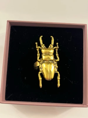 Guldig  ring  - Cool ring i guldfärgad metall med en stor insekt i 3D-design på ovansidan. Ringen har en unik och edgy look som verkligen sticker ut och passar dig som gillar statement-smycken. Perfekt accessoar för att lyfta din outfit.