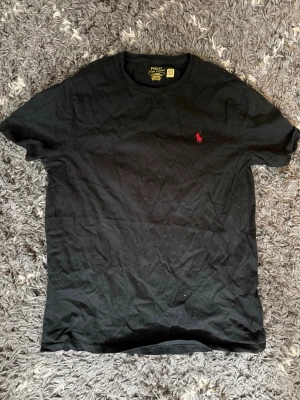 Polo Ralph Lauren T-shirt  - Snygg tröja i storlek S