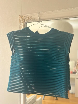 Blå ribbad topp från & Other Stories - Säljer en blå/grön ribbad topp från & Other Stories med transparenta horisontella ränder. Toppen är ärmlös och har en rund halsringning. Perfekt för dig som vill ha en edgy och modern look. Toppen är ganska see-trough. 