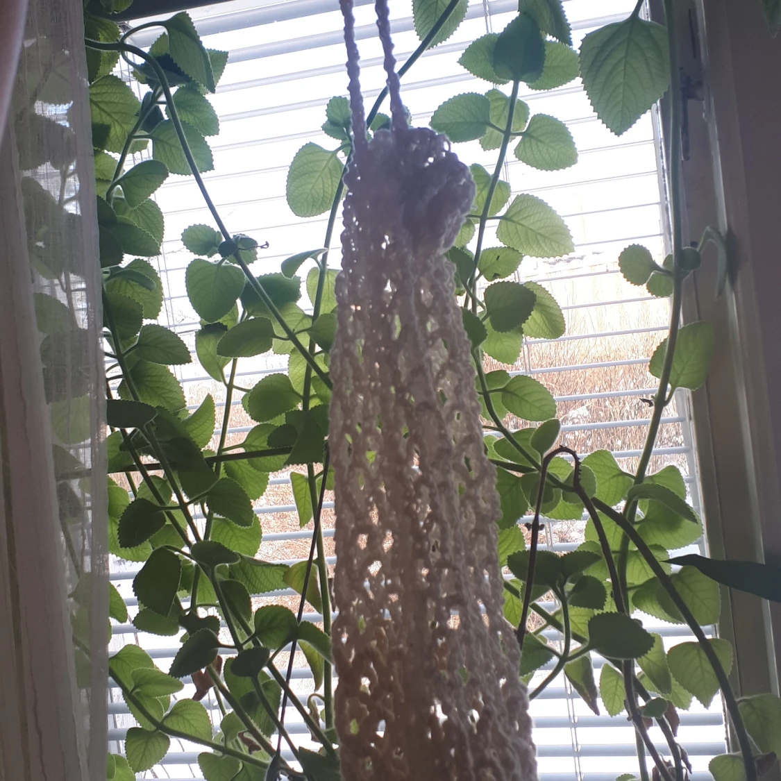 Picknick väska/vinpåse - 91