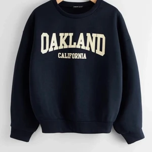 Sweatshirt - Jättefin och bra skick!!!