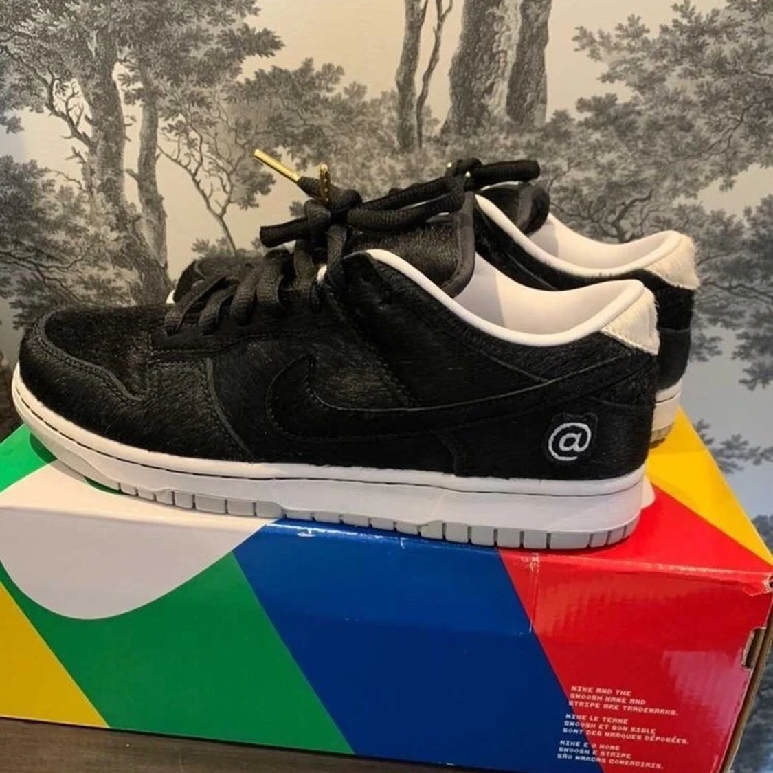 Nike SB dunk low medicom Toy